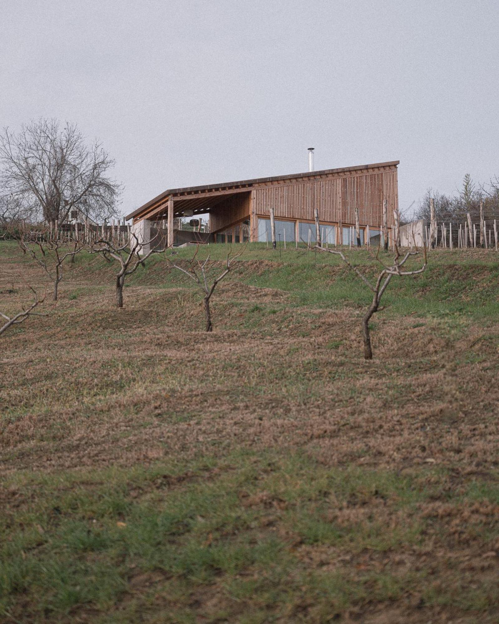 Szegzard - The Lodge Szekszard Exterior photo